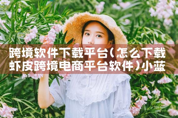 跨境软件下载平台|小蓝视频