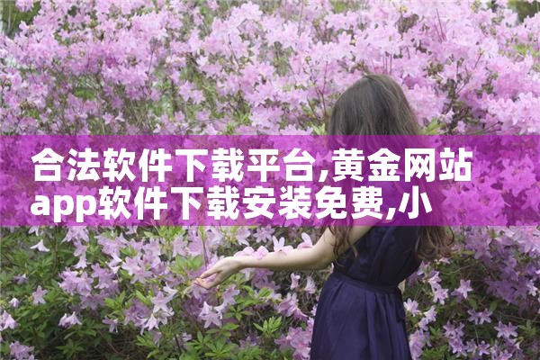 合法软件下载平台|小蓝视频