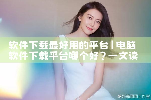 软件下载最好用的平台|P站专业版