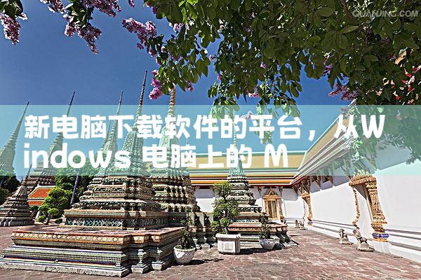 新电脑下载软件的平台|糖心Vlog