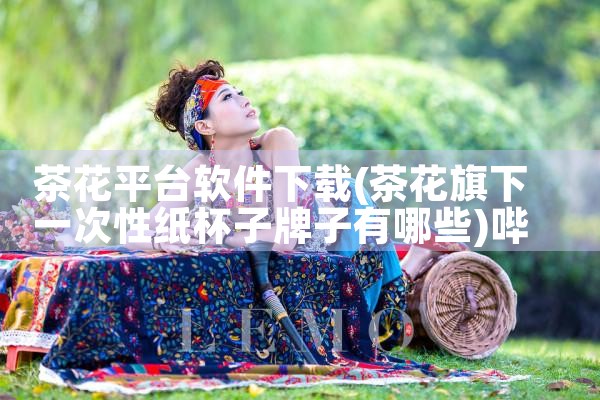 茶花平台软件下载|哔咔漫画