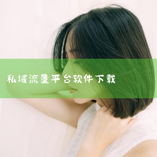 私域助手软件功能  1.消息通知功能:提供基本订单通知,确保用户及时了解流量数据。  2.客服沟通功能:支持商家与用户实时沟通,解答用户疑问。  3. 成长信息获取:在正式发布平台上介绍福利与功能,助,P站专业版