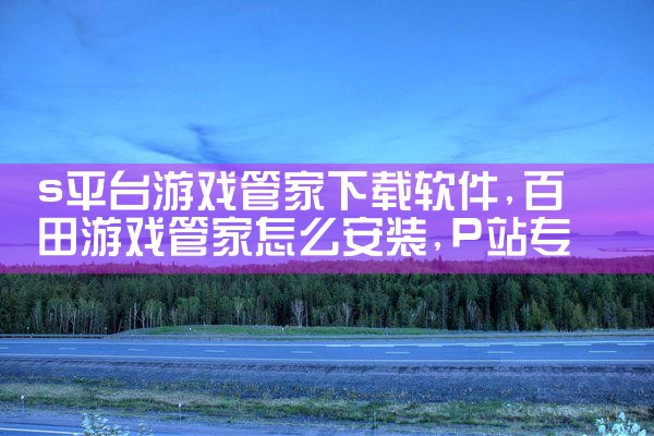 s平台游戏管家下载软件|P站专业版