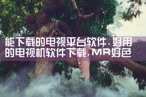 能下载的电视平台软件|MR好色