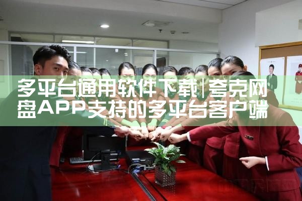 多平台通用软件下载|P站专业版