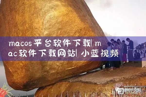 macos平台软件下载|小蓝视频
