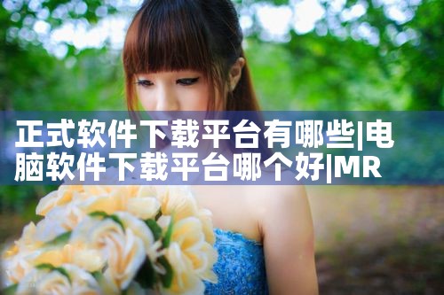 正式软件下载平台有哪些|MR好色