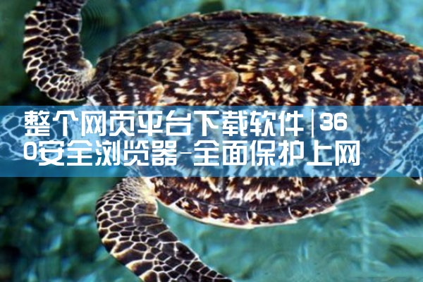 整个网页平台下载软件|哔咔漫画
