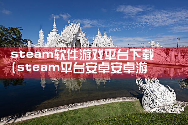 steam软件游戏平台下载|P站专业版