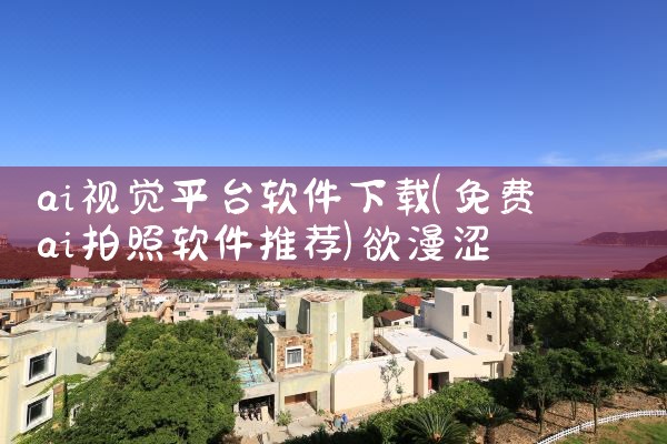 ai视觉平台软件下载|欲漫涩