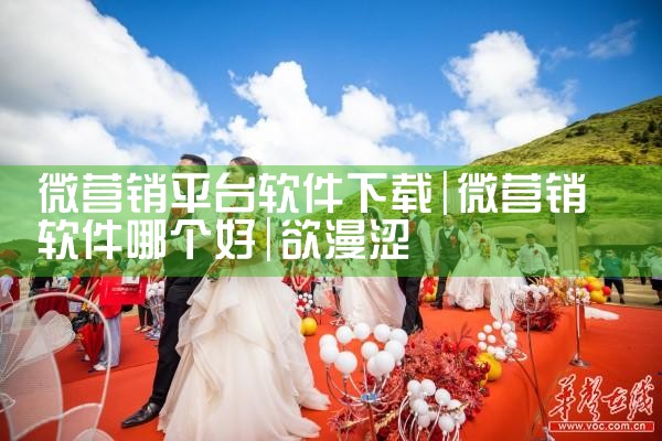 平台动漫下载软件安装|欲漫涩