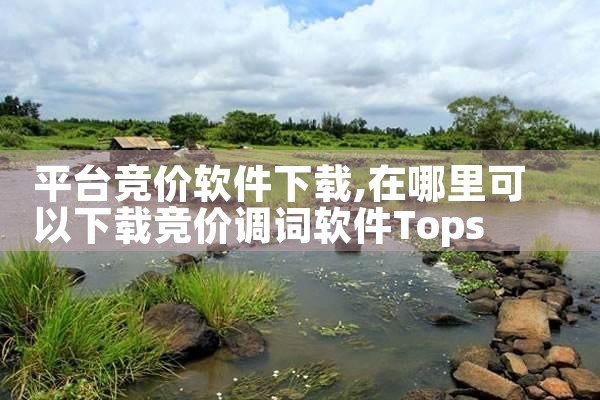 平台竞价软件下载|小蓝视频