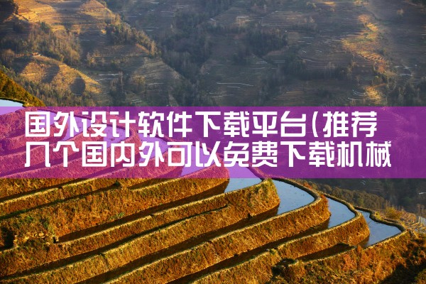 国外设计软件下载平台|P站专业版