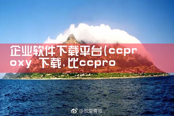 企业软件下载平台|小蓝视频